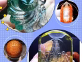 中国水晶城总代理，从小卖水晶，喜欢水晶热爱水晶，喜欢的加我