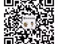 新加坡招聘文员助理 本土中介 办理快收费低 详情咨询QQ微信849561811