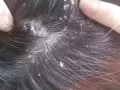 莫小在老姜洗护发产品