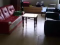 主人房 普通房