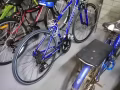 低價出售一輛Aleocr品牌自行車！180SGD ！！！！