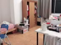 多美歌 sophia RD 两人间找室友