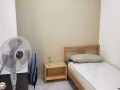 找房客/合租 $700/800 市区中心chinatown