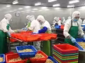 本公司長期辦理赴新加坡出國勞務