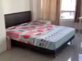 索美賽 公寓超大普通房