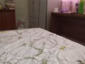 兀兰大牌802普通房招夫妻，空调，可煮！