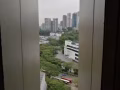 巴西立女搭房
