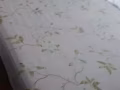 文庆地铁站附近8Riversuite 公寓