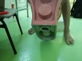 专业安装维修各种马桶,水龙头,疏通马桶下水,厨房地漏堵塞,安装维修马桶零件,电子