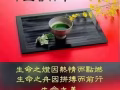 床垫   休闲鞋  旅行背包  真空气罐  衣架