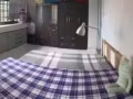 大巴窑主人房招床位 大窗户随时入住