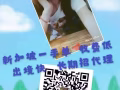 特价单来袭 想订单的赶紧来 常年招代理 返利多多 有意者详询1884477879