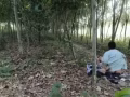 這車看起來很新哦，你看怎麼樣呢？