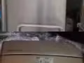 洗衣機 冰箱製冷效果很好