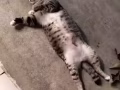 一個人
