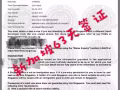 新加坡签证 出签率95%