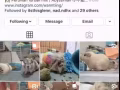 追踪个人IG FB
