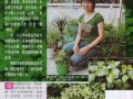 天然草药“苦粒心” 可以清热解毒，还我美肤