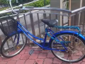 淡滨尼，
