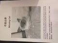 寻猫启事