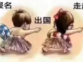 WP 广告牌安装工   咨询微信：a15963006865
