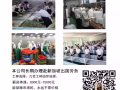 新加坡一手中介  国内司机考3号 4号   办理不成功不收任何费用