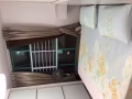 大型主人房出租