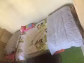 寻找女室友