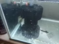 要的请加微信a 1690919还是电话86565728