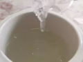 燕窩批發
