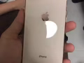 蘋果8+金色256GB