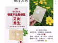 九洲福磁療艾灸貼