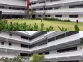 商务管理大专---兼读课程（中文授课）