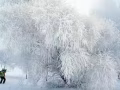 寻找可以报制造业地址的房子，位置麦博森，大成，亚龙，巴耶里巴都可以，价钱希望不要