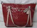 Hand bag (coach bag &Polo bag )