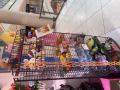 展示貨品的貨架