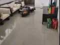 找一个爱干净的室友