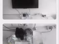 幾乎新電視出售