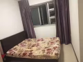 港湾附近单间出租 非隔间