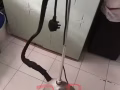 有卖有送