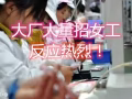 操作員兼普工，國內司機兼普工，男保潔兼普工