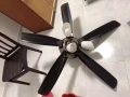 吊扇燈轉讓。
