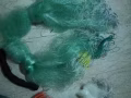 新鱼网 没用过 便宜买了