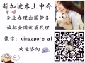 本土招聘司機等職位  微信：xingapore_al