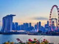 找工作