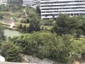 榜鵝普通房出租