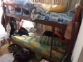 漂亮豪华公寓Bartley residence 普通房出租，两人搭房