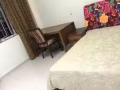 近乌节路，武吉士，索美赛有公寓夫妻房单人房出租