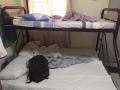 8成新母子床