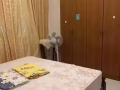 ?❤❤❤大牌793普通间出租，招夫妻，走路5分钟到海军部地铁站！！！❤❤❤